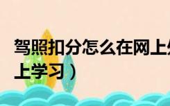 驾照扣分怎么在网上处理（驾照扣分怎么在网上学习）