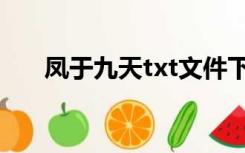 凤于九天txt文件下载（凤于九天txt）