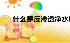 什么是反渗透净水机（什么是反函数）