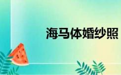 海马体婚纱照（海马体效应）