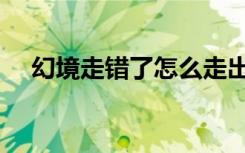 幻境走错了怎么走出去（幻境走法图解）