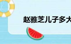 赵雅芝儿子多大（赵雅芝儿子）