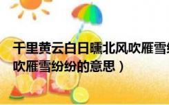 千里黄云白日曛北风吹雁雪纷纷意境（千里黄云白日曛北风吹雁雪纷纷的意思）