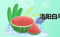 洛阳白马寺简介