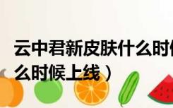 云中君新皮肤什么时候出来（云中君新皮肤什么时候上线）
