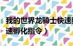 我的世界龙骑士快速孵化（我的世界龙骑士快速孵化指令）