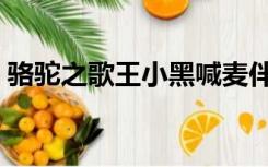 骆驼之歌王小黑喊麦伴奏（骆驼之歌王小黑）