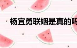 杨宜勇联姻是真的吗（杨宜勇联姻事件）