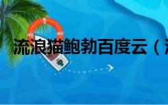 流浪猫鲍勃百度云（流浪猫鲍勃百度网盘）