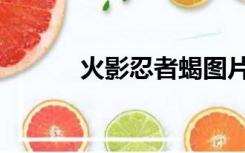 火影忍者蝎图片（火影忍者蝎）