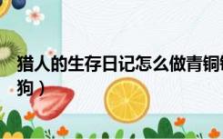 猎人的生存日记怎么做青铜镐（猎人的生存日记怎么做机器狗）