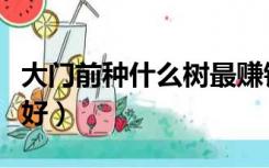 大门前种什么树最赚钱（大门前种什么树风水好）