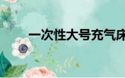 一次性大号充气床垫（一次性评价）