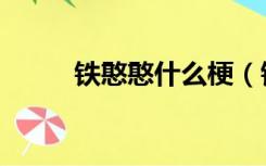 铁憨憨什么梗（铁憨憨什么意思）