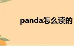 panda怎么读的（panda怎么读）