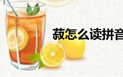 菽怎么读拼音（菽怎么读）