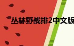 丛林野战排2中文版游戏（丛林野战排）