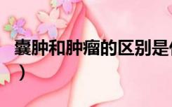 囊肿和肿瘤的区别是什么（囊肿和肿瘤的区别）