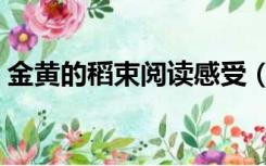 金黄的稻束阅读感受（金黄的稻束阅读答案）