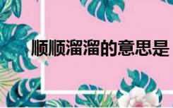 顺顺溜溜的意思是（顺顺溜溜的意思）