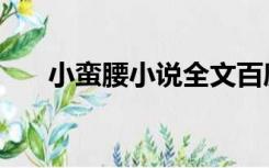 小蛮腰小说全文百度云（小蛮腰小说）