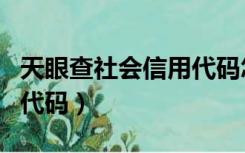 天眼查社会信用代码怎么查（天眼查社会信用代码）