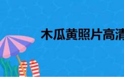 木瓜黄照片高清（木瓜黄照片）