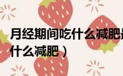 月经期间吃什么减肥最快的方法（月经期间吃什么减肥）