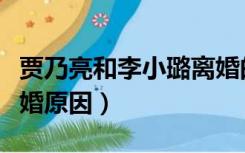 贾乃亮和李小璐离婚的吗（贾乃亮和李小璐离婚原因）