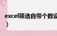 excel筛选自带个数设置（excel筛选自动求和）