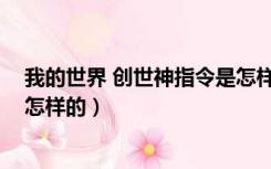 我的世界 创世神指令是怎样的啊（我的世界 创世神指令是怎样的）
