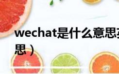 wechat是什么意思英语（wechat是什么意思）