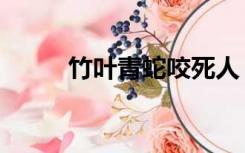 竹叶青蛇咬死人（竹叶青蛇有毒）