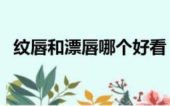 纹唇和漂唇哪个好看（纹唇和漂唇的区别）