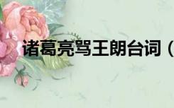 诸葛亮骂王朗台词（诸葛亮骂王朗台词）