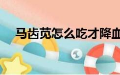 马齿苋怎么吃才降血糖（马齿苋怎么吃）