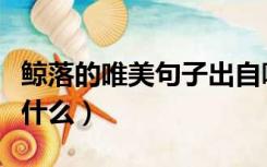 鲸落的唯美句子出自哪里（鲸落的唯美句子有什么）