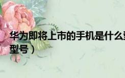 华为即将上市的手机是什么型号（华为最新上市手机是什么型号）