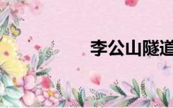 李公山隧道分为几段？