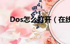 Dos怎么打开（在线dos游戏怎么打开）