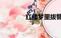 红楼梦里拔簪是什么意思？