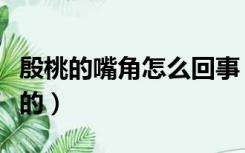 殷桃的嘴角怎么回事（为什么殷桃的嘴总是破的）