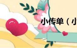 小传单（小传怎么写）