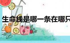 生命线是哪一条在哪只手（生命线是哪一条）