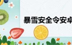 暴雪安全令安卓版（暴雪安全）