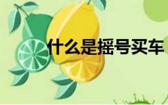 什么是摇号买车（什么是摇花手）