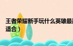 王者荣耀新手玩什么英雄最简单（王者荣耀新手玩什么英雄适合）
