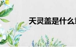 天灵盖是什么意思（天灵盖）