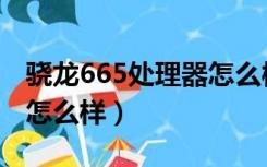 骁龙665处理器怎么样吃鸡（骁龙665处理器怎么样）