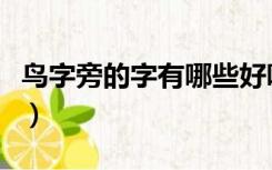 鸟字旁的字有哪些好听的（鸟字旁的字有哪些）